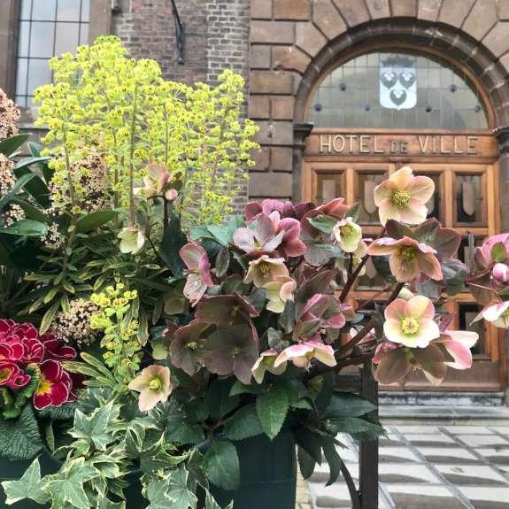 Bouquet de fleurs devant l'Hôtel de Ville de Wavre