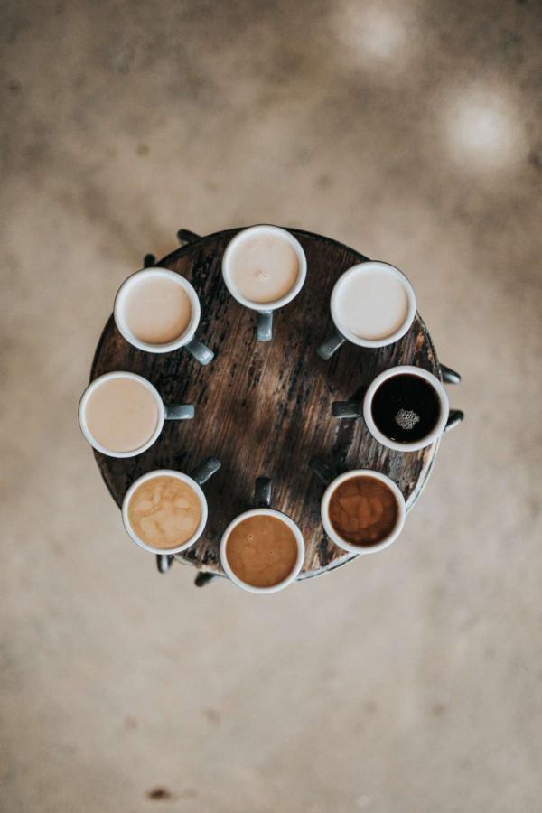 diversité cafés