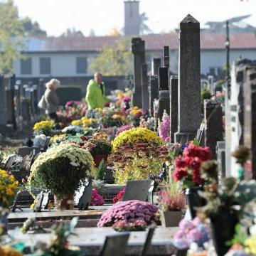 cimetière fleurs toussaint