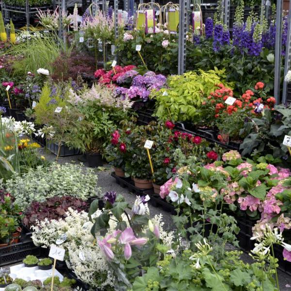 foire horticole 2