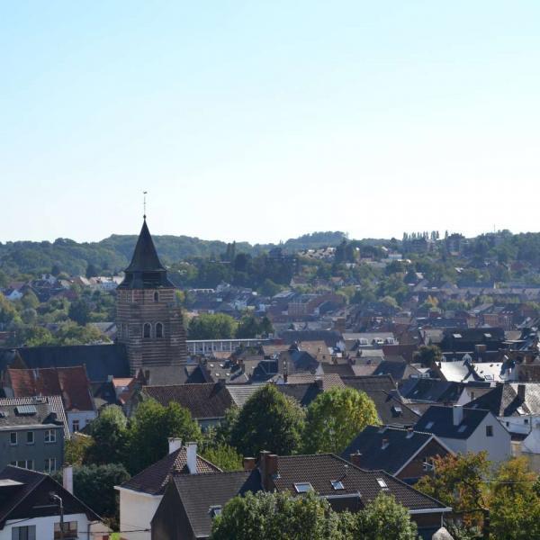 vue panorama wavre 