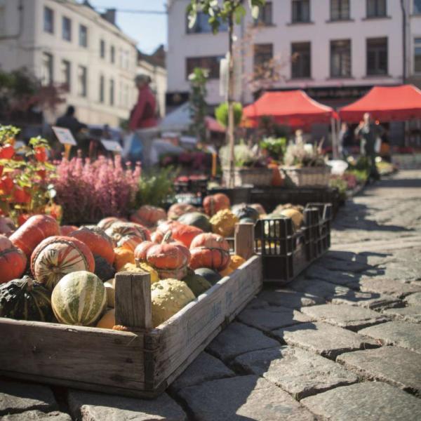 coloquintes marché