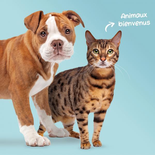 banner Journée bien-être animal 2022