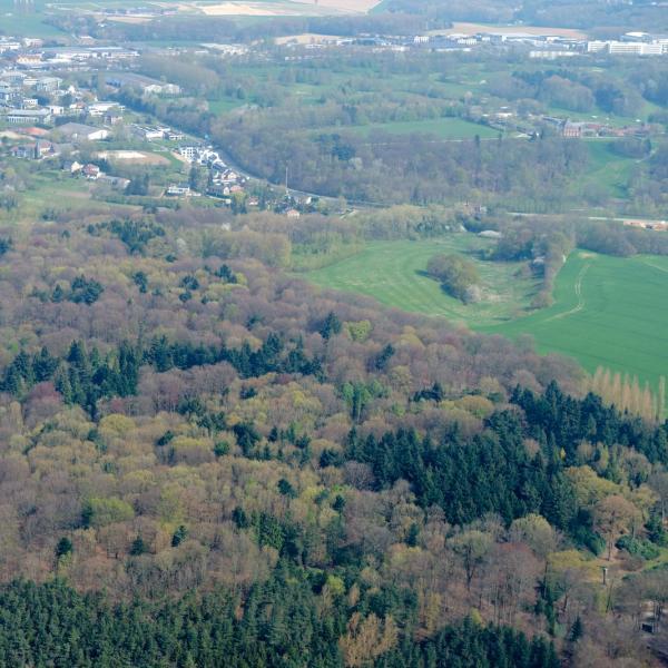 bois de Beumont