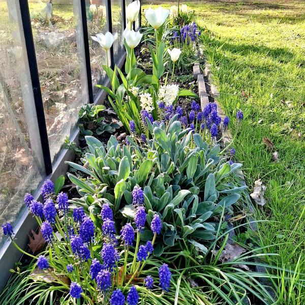 jardin partagé 2026