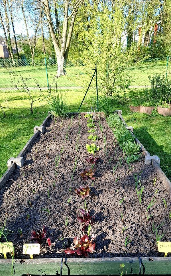 jardin partagé 2026