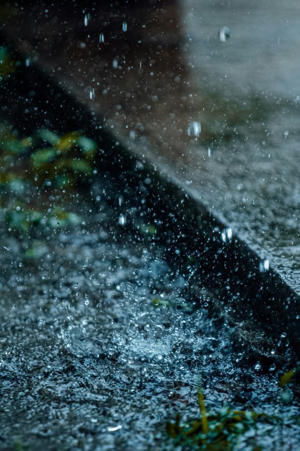 Pluie