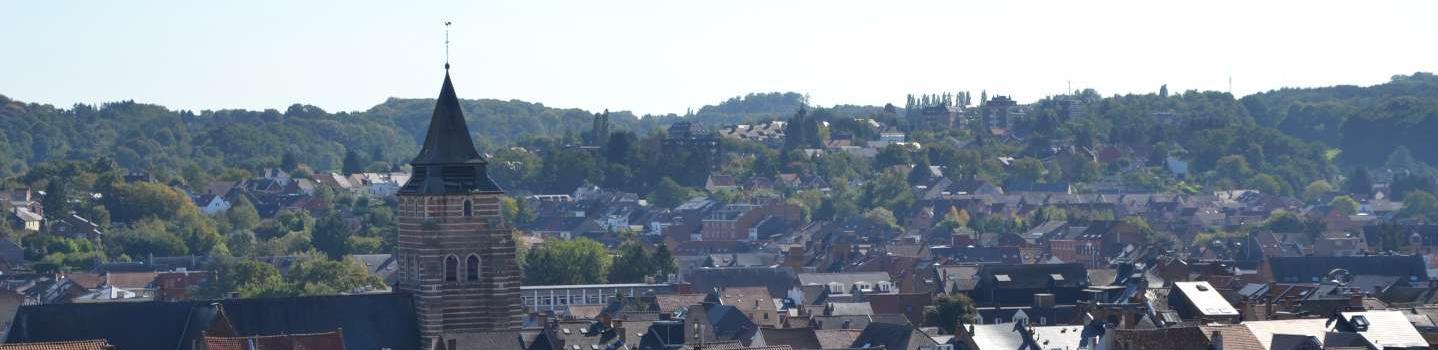 vue panorama wavre