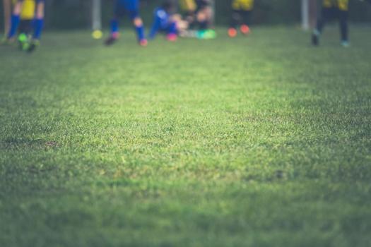 herbe terrain sport
