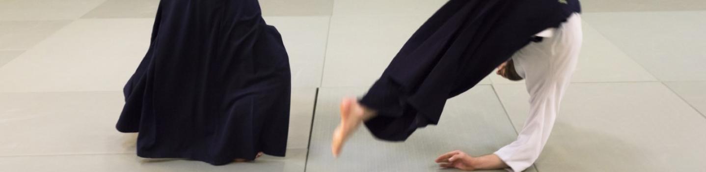 aikido