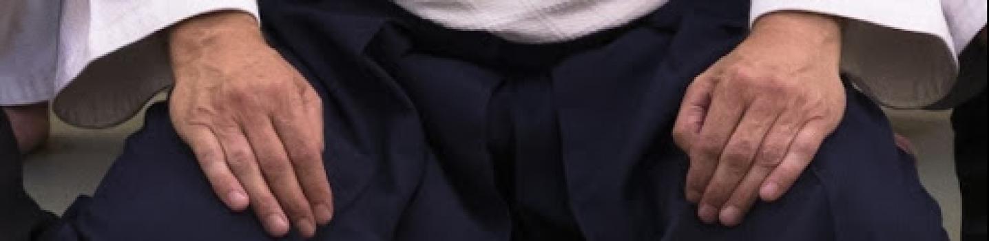 Aikido