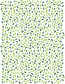 grainothèque pattern