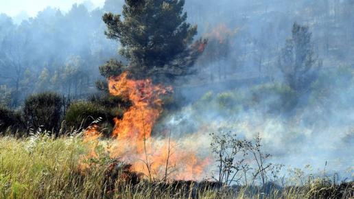 incendie feu végétation