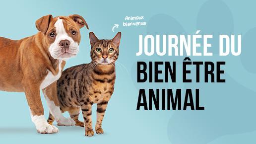 Journée du Bien-Être animal 2023