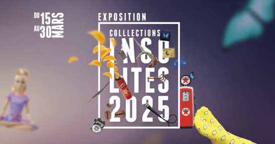 Collections insolites 2025