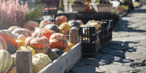 visite guidée marché 2